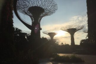 久々にシンガポールでVMD