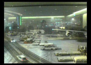 食料も尽きる旅