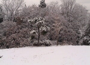 あけましておめでとうございます。