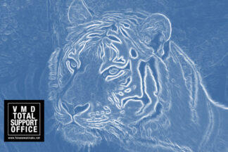 新年あけましておめでとうございます